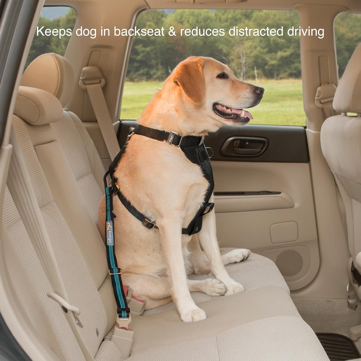 Direct to Seatbelt Tether, Coastal Blue | Car Tether for Dogs, Clips Directly to Seatbelt, Prevents Distracted Driving, Adjustable Length, Universal Fit-Excludes Volvo